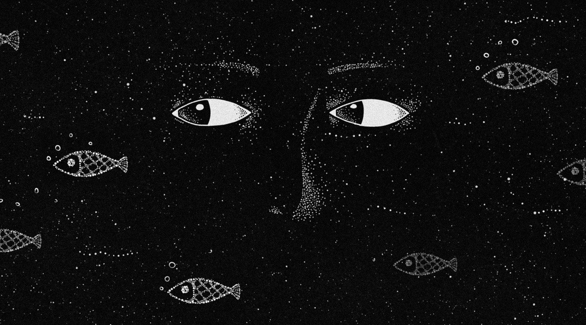 O rybách a rybaření: porovnejte si výnosy fondů